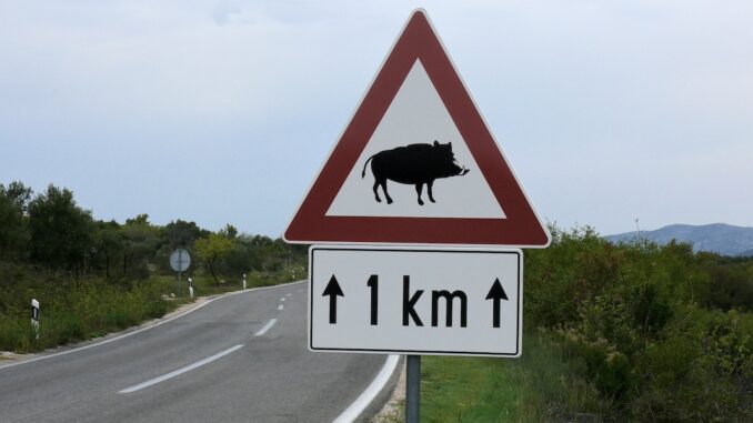 670250_achtung-wildschweine_cornerstone_pixelio